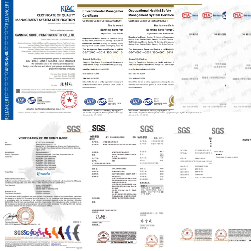 ODM&OEM——Micro Magnetic Gear Pump (1)