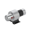 42 Series Micro Magnetic Gear Pump