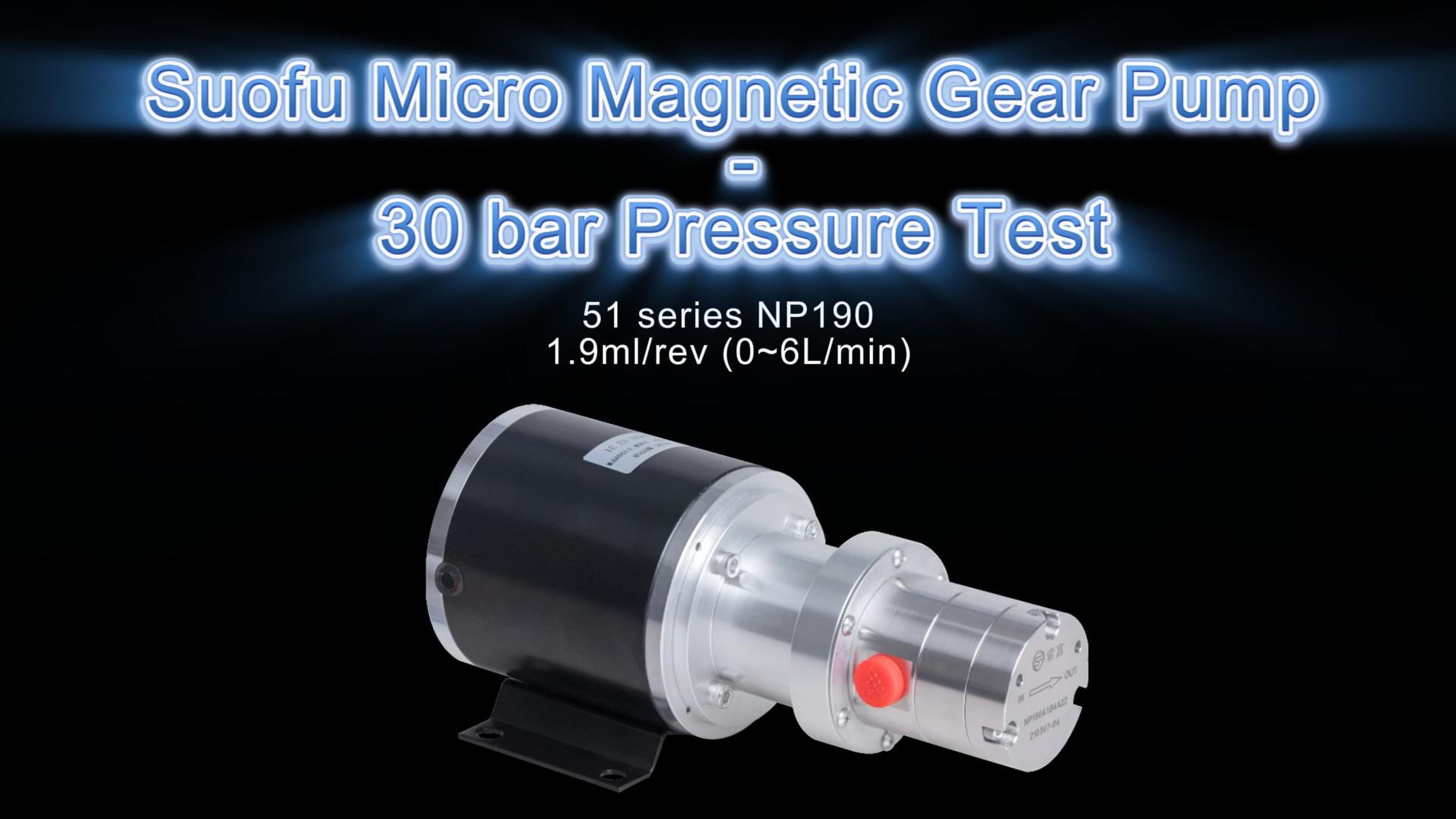 30 bar pressure test NP190