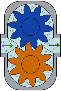 Circulation